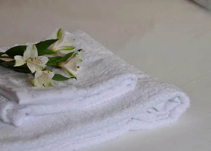 La Sastreria De Nyaraló