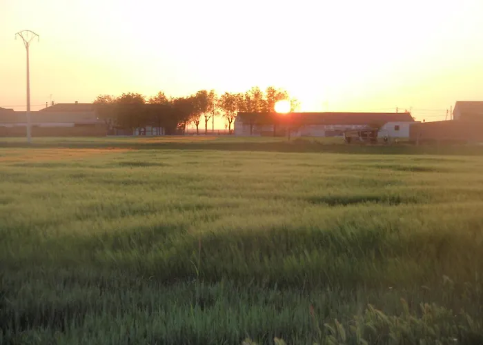 La Sastreria De Nyaraló *